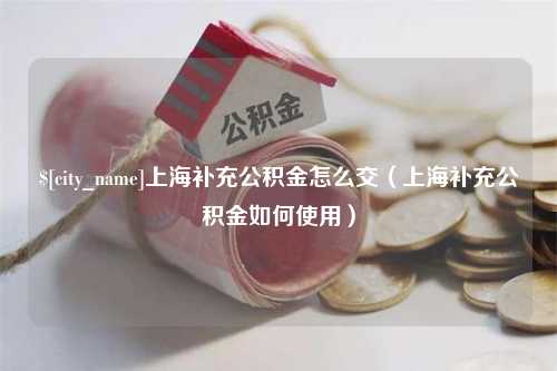 南昌上海补充公积金怎么交（上海补充公积金如何使用）